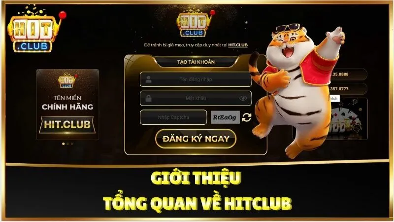 Giới thiệu tổng quan về HitClub